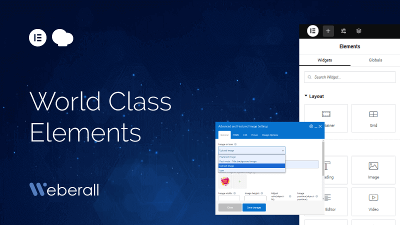 wordpress advanced elements